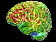 Cách não bộ phân biệt hình ảnh thực tế và hình ảnh tưởng tượng