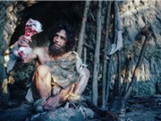 Người Neanderthal đã biết đun xương để lấy mỡ 