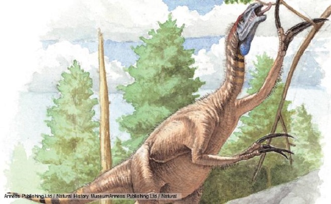 Khủng long Therizinosaurus. Ảnh: Anness Publishing Ltd/Natural Loài vật có móng vuốt dài nhất được ghi nhận cho tới nay là khủng long Therizinosaurus. Theo các hóa thạch thu được, móng vuốt chi trước của nó dài tới 70cm. Các nhà khoa học cho rằng đây là loài khủng long ăn cỏ.