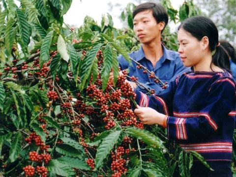 Việc ứng dụng các kết quả nghiên cứu khoa học vào thực tiễn tại Lâm Đồng đã mang lại hiệu quả kinh tế cao.