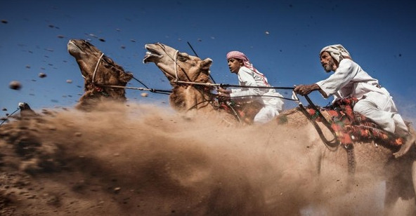 Bức ảnh "Cuộc đua lạc đà truyền thống ở Ả Rập" của tác giả Ahmed Al Toqi là tác phẩm giành giải ba trong cuộc thi năm nay. Đây là một trong những cuộc đua truyền thống của người Ả Rập. Mục đích của cuộc thi là thể hiện được vẻ đẹp và sức mạnh của loài lạc đà Ả Rập cũng như kỹ năng của người điều khiển chúng.