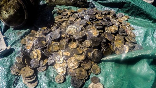 Được biết, nhóm thợ lặn khi đó đang làm công việc dọn dẹp rác dưới thềm đại dương nhằm làm trong sạch môi trường nước ở cảng Wellington. Sau đó, họ đã tình cờ tìm thấy hàng trăm đồng tiền vàng nằm lẫn trong bùn đất.