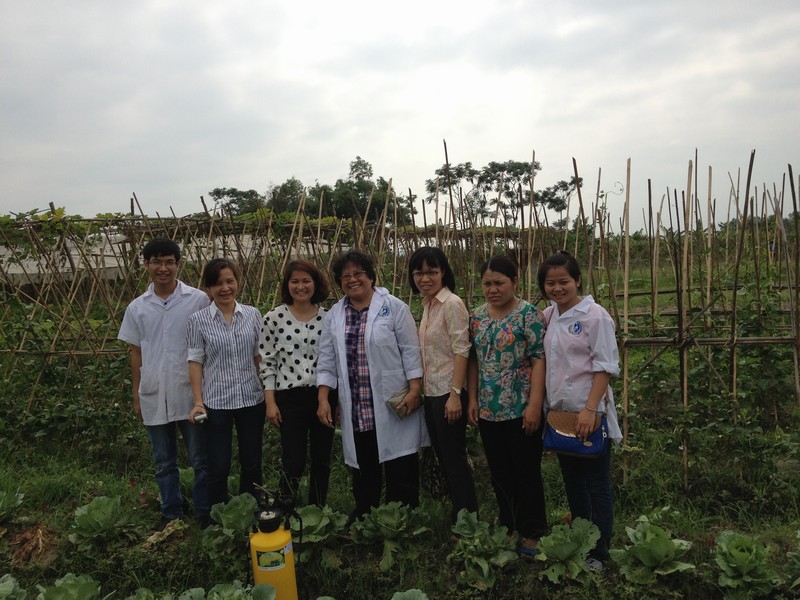 GS-TS Phạm Thị Thủy (áo trắng,đứng giữa) hướng dẫn phun chế phẩm nấm Nomuri trừ sâu hại rau hữu cơ ở Thanh Xuân, Sóc Sơn, Hà Nội