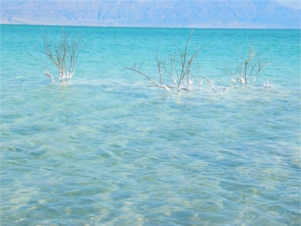 Những sự thật thú vị về Biển Chết