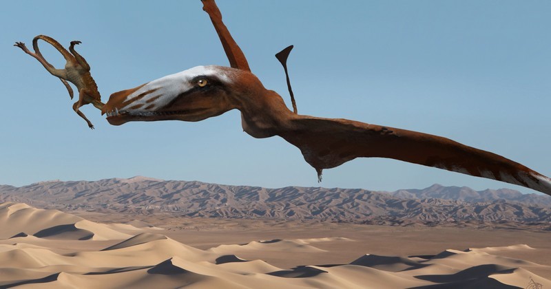 Mô phỏng hình ảnh của loài thằn lằn bay lớn nhất kỷ Trias. Ảnh USA to lay