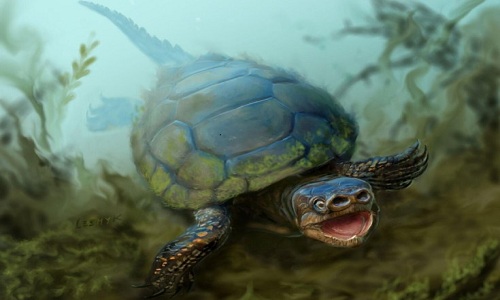 “Chân dung” loài rùa kỳ lạ nhất từng sống trên Trái đất. Ảnh: Artist-depiction