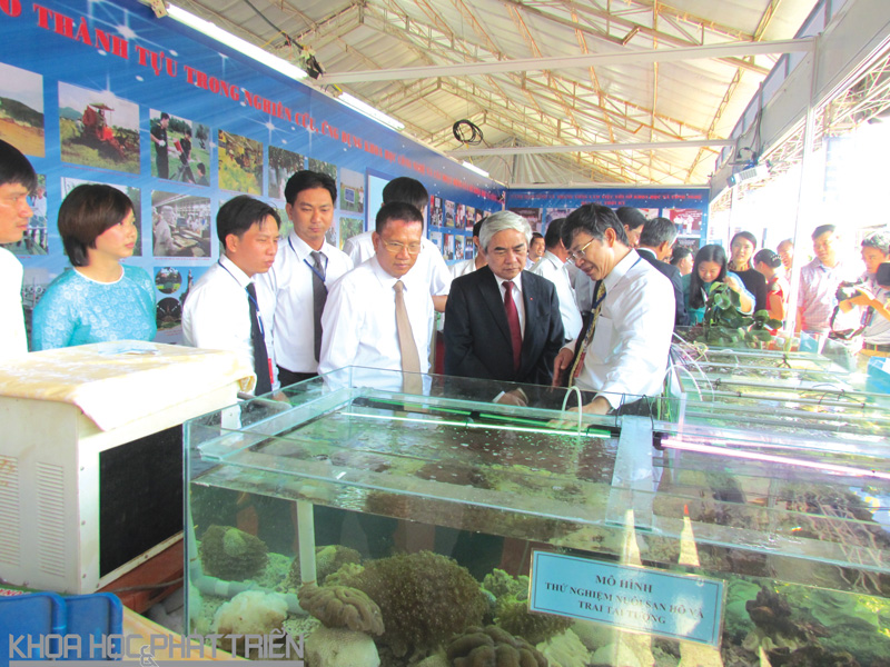 Bộ trưởng Bộ Khoa học và Công nghệ Nguyễn Quân cùng đại diện các ban, ngành tham gia gian hàng tại Techdemo 2015