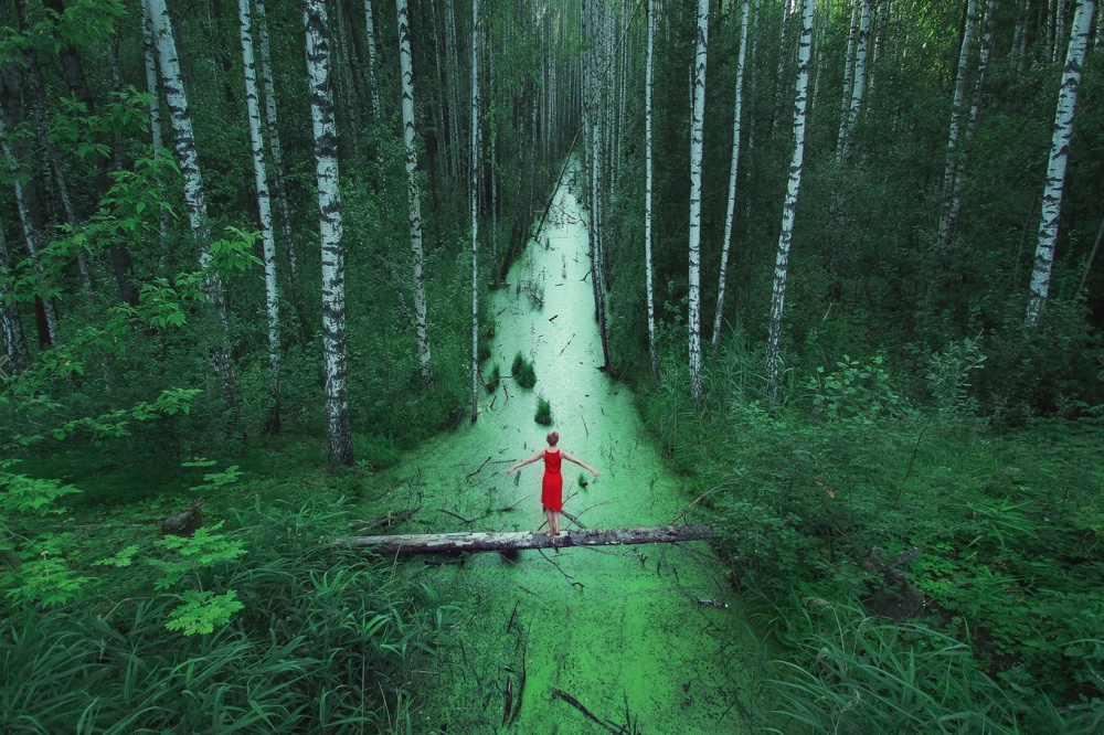 Những cánh rừng bạt ngàn, Nga.