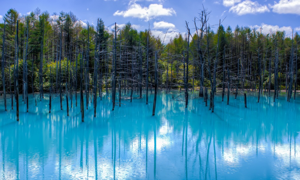 Hồ Blue Pond, Hokkaido, Nhật Bản thay đổi màu sắc theo thời tiết và góc nhìn của bạn.