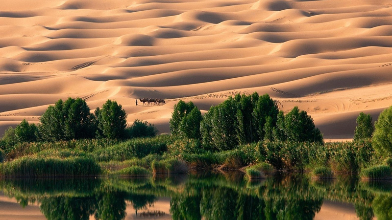 Sahara từng là vùng đất xanh tươi, nơi sinh sống của một hệ thống thực vật và động vật đa dạng, kể cả con người. 	Ảnh: Hrhwalls