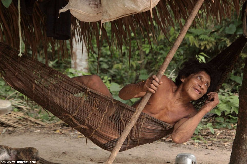 Một thành viên của bộ lạc được tổ chức Survival International chụp hình cho chiến dịch bảo vệ bộ lạc Awa. (nguồn: Dailymail)