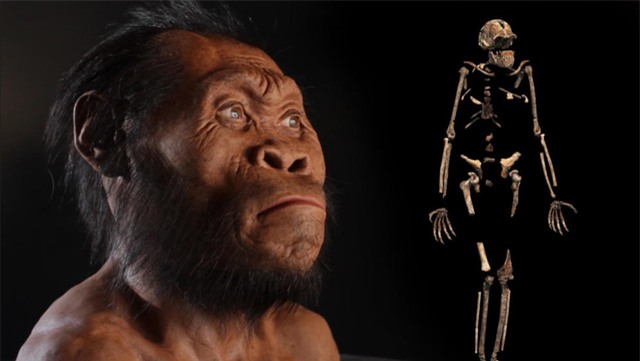 10 phát hiện khoa học, tổ tiên mới của loài người, Homo naledi, công nghệ chỉnh sửa gen, loài sinh vật mới, kháng sinh mới, thiên hà sáng nhất