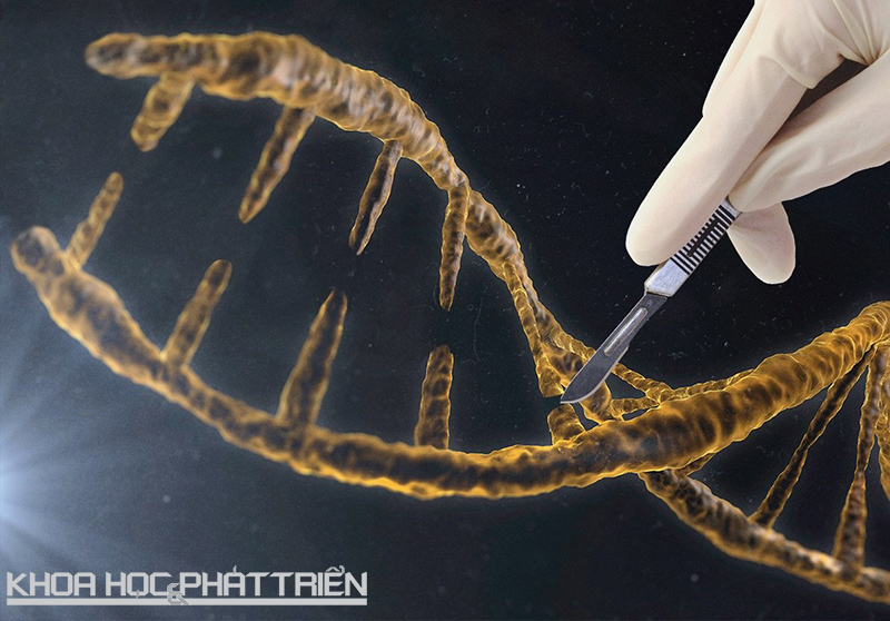 CRISPR là một trong những đột phá khoa học ấn tượng trong năm 2015. Ảnh: Businessinsider
