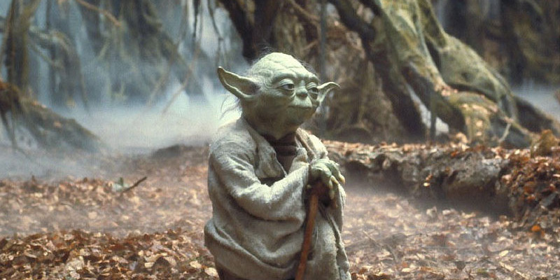 Nhân vật Yoda trong phim Chiến Tranh giữa những vì sao hầu hết đều do một chú khỉ thủ vai.
