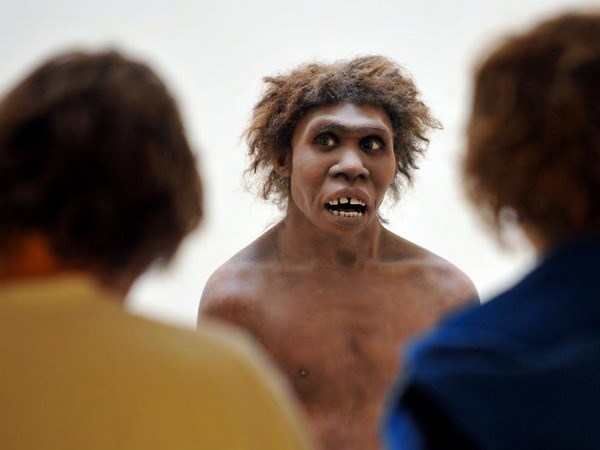 Người Neanderthal.