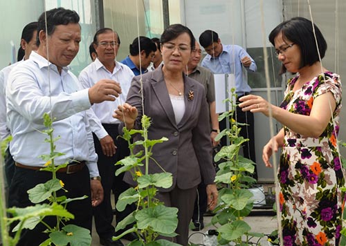 Bà Nguyễn Thị Quyết Tâm, Phó Bí thư Thành ủy, Chủ tịch HĐND TP.HCM thăm nhà màng tại Trung tâm Công nghệ sinh họcTP.HCM