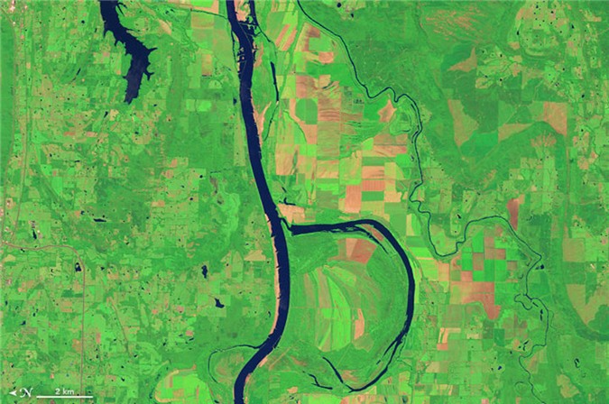 Vào ngày 4/8/2014, một thiết bị Operational Land Imager (OLI) trên Landsat 8 đã chụp lại được bức ảnh hình chữ B tại con sông Arkansas ở công viên hoang dã Holla Bend Wildlife Refuge thuộc bang Arkansas, Mỹ.