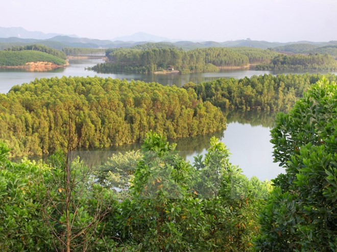 Rừng trồng của người dân huyện Yên Bình, Yên Bái. (Ảnh: Thế Duyệt/TTXVN)