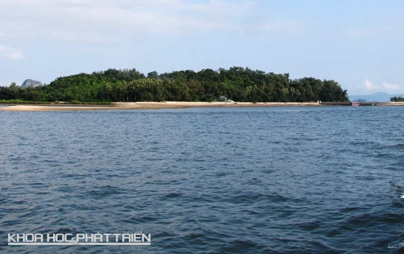 Đảo Rều (đảo Khỉ) rộng 22 ha nằm trên vịnh Bái Tử Long, cách cảng Vũng Đục (phường Cẩm Đông, TP Cẩm Phả) gần 3 km, là nơi sinh sống bán hoang dã của khoảng 1.000 con khỉ.