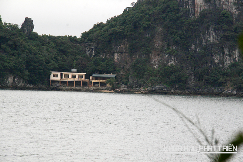 Đảo đá đối diện đảo Rều là nơi nuôi riêng những cá thể khỉ sản xuất vắc xin.