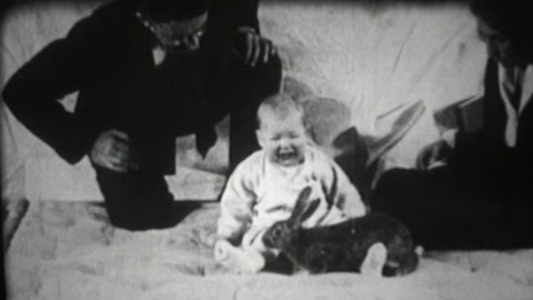 Thí nghiệm "Albert bé nhỏ" nổi tiếng.