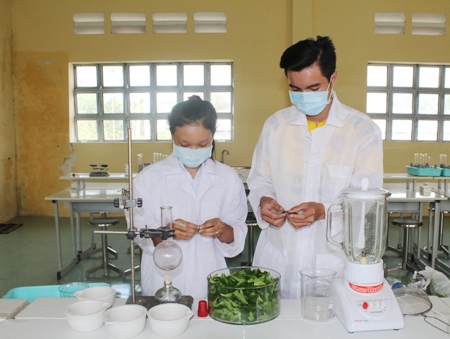 Các em học sinh đang thực hiện thí nghiệm thuốc trừ sâu sinh học.