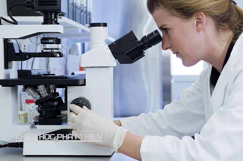CureVac là một trong nhiều công ty chuyên về công nghệ sinh học, đang đi đầu trong xu hướng sản xuất vắcxin dạng RNA. Ảnh: Terrabit.de