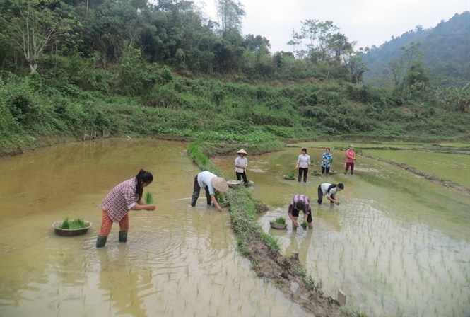 Người dân xã Thượng Nung, huyện Võ Nhai canh tác trong Khu bảo tồn thiên nhiên Thần Sa - Phượng Hoàng ...