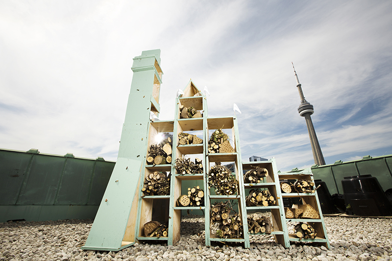 Một trong rất nhiều “khách sạn của loài ong” trên nóc các tòa nhà cao tầng tại Toronto, Canada.Ảnh: Canadianliving