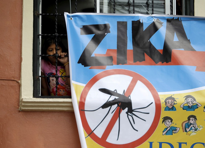 Các trường hợp nhiễm vi rút Zika đã được phát hiện ở 41 nước trên thế giới 
