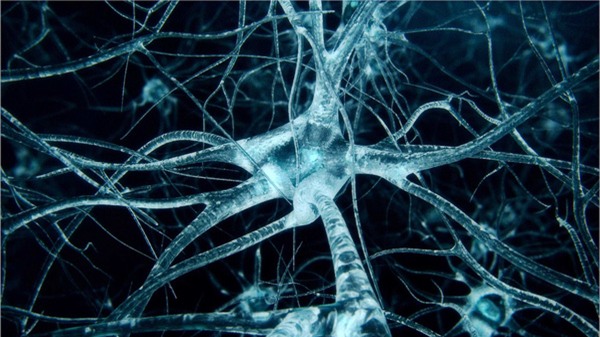 Đột phá: Tìm ra phương pháp thay não để điều trị các bệnh về thần kinh - Ảnh 1.