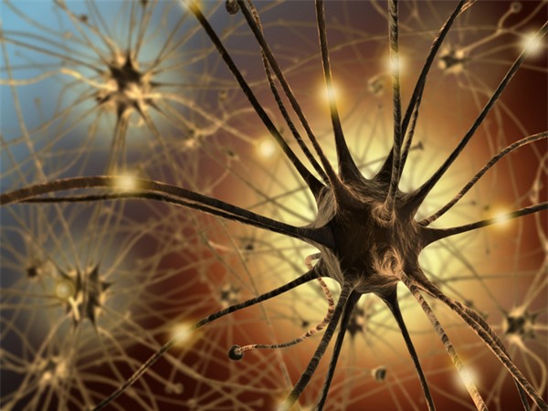 Đột phá: Tìm ra phương pháp thay não để điều trị các bệnh về thần kinh - Ảnh 2.