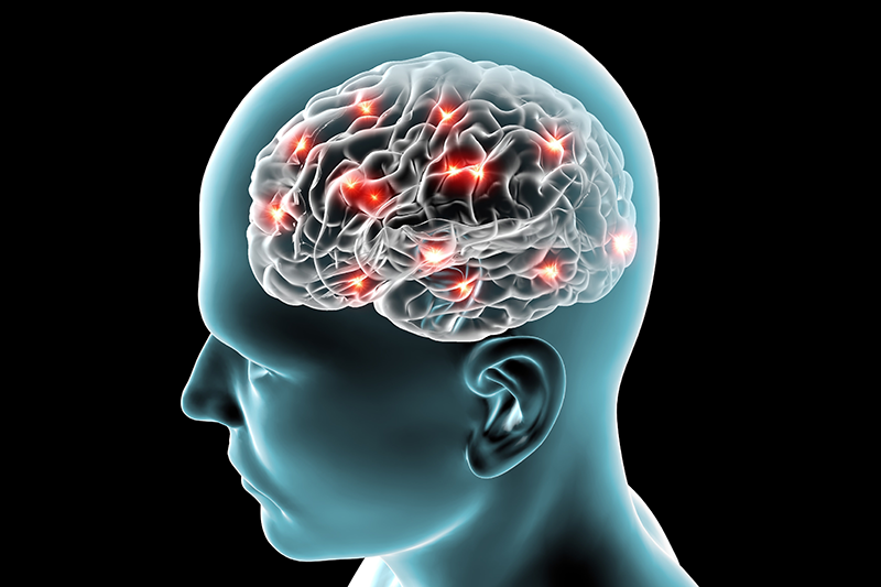 Với phản trí nhớ, não bộ con người mới có thể giữ được trạng thái cân bằng, không bị bệnh. Ảnh: Sante.journaldesfemmes.com