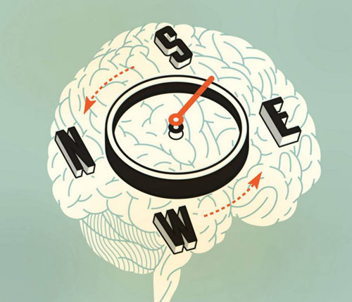 GPS sẽ làm thay đổi cấu trúc não bộ nếu sử dụng liên tục trong thời gian dài.