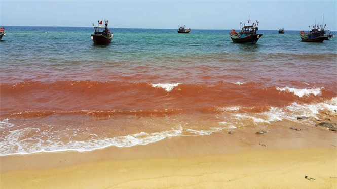 Vệt nước đỏ đục dài 1,5km xuất hiện ở bãi biển xã Nhân Trạch sáng 4-5 - Ảnh: M.P