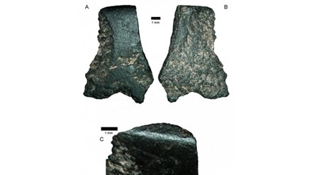 ảnh rìu đá bazal dài 11mm được các nhà khoa học cho biết là mảnh vỡ của chiếc rìu được làm bằng tay cổ xưa nhất. Ảnh: Viện khảo cổ Australia