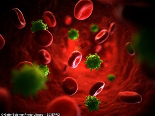 Đan Mạch có thể là nước đầu tiên xóa bỏ được virus HIV - 1