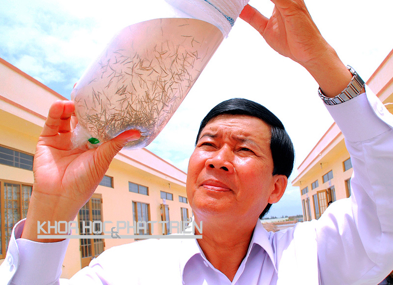 Ông Dương Văn Hùng - Giám đốc Công ty TNHH giống thủy sản Dương Hùng (Bạc Liêu).
