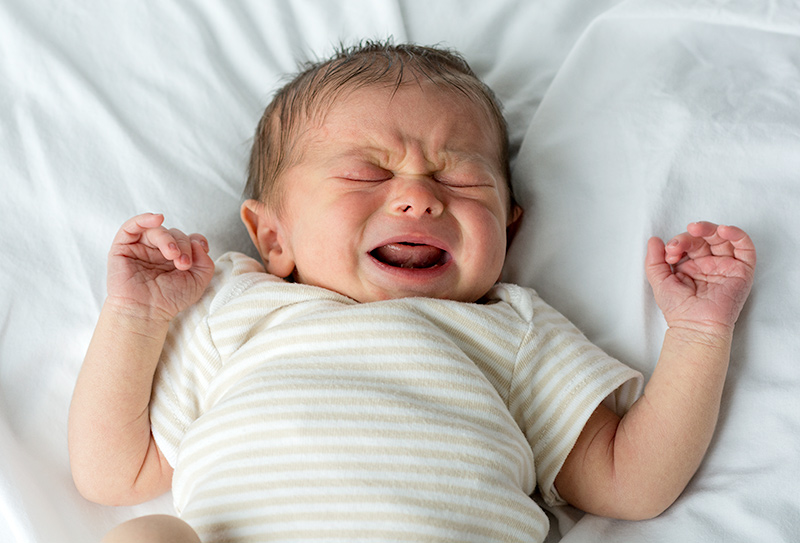 Một em bé sơ sinh người Mỹ đang khóc đòi bú. Ảnh: Wiki