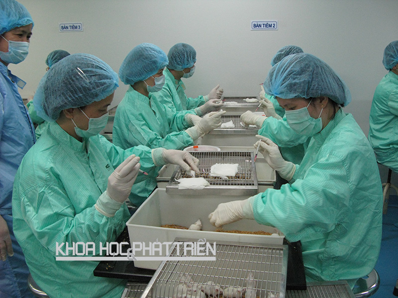 Các nhà khoa học tại Công ty vắcxin và sinh phẩm số 1 thử nghiệm vắcxin trên chuột. Ảnh: Đình Tuấn
