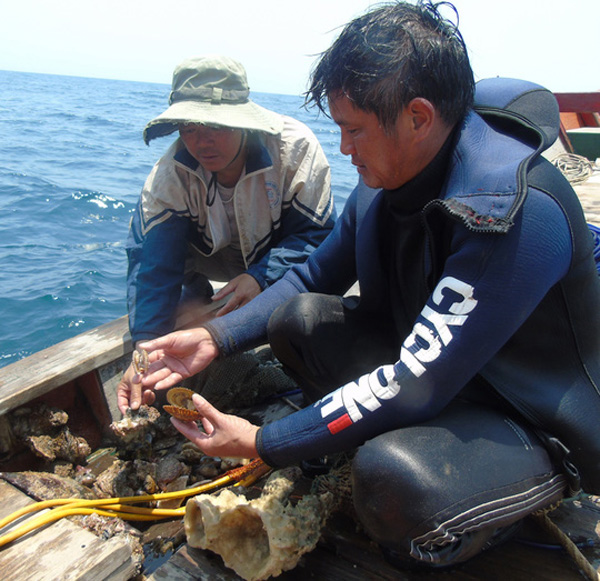 Các nhà khoa học lấy mẫu ốc, san hô đề phân tích độc chất, tìm nguyên nhân làm hải sản chết bất thường tại các vùng biển miền Trung.