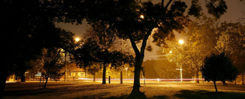 Ô nhiễm ánh sáng đô thị là nguyên nhân làm cho cây đâm chồi sớm hơn, ảnh: Ed Dunens/Flickr