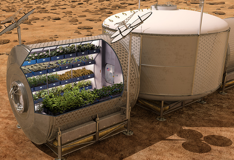 Một mô hình trồng rau trên sao Hỏa. Ảnh: NASA