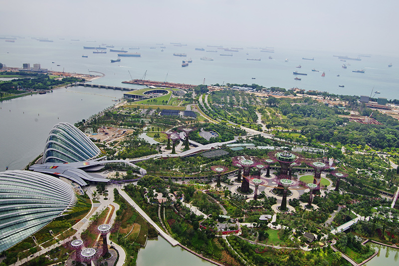 Khu vườn vịnh phía nam của Singapore. Ảnh: Wikimedia