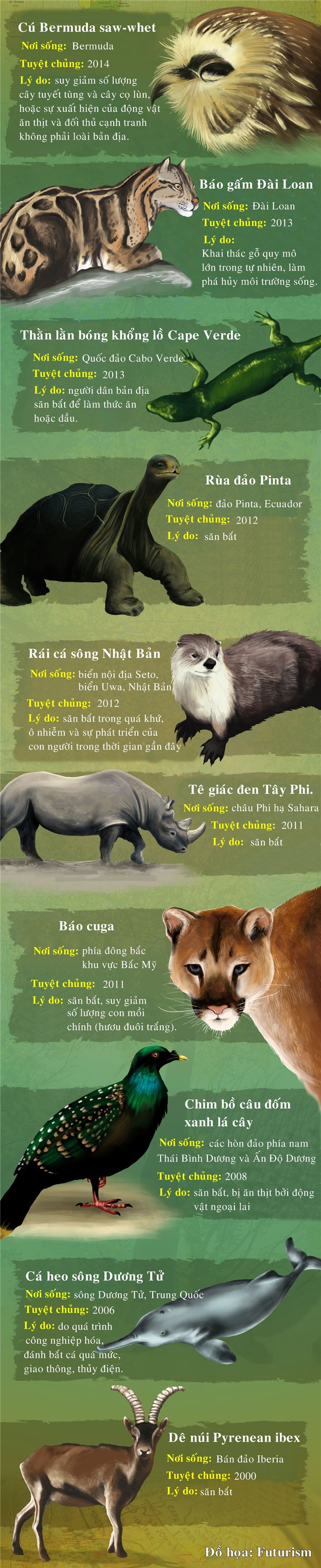 10 loài động vật tuyệt chủng trong 10 năm qua