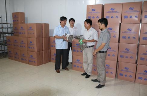 TUV, Giám đốc Sở KH&CN Hà Tĩnh Đỗ Khoa Văn kiểm tra sản phẩm trước khi đưa ra thị trường.