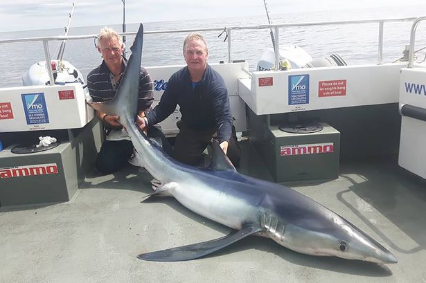 Ông Danny cùng bạn chụp ảnh cũng con cá mập nặng 110 kg