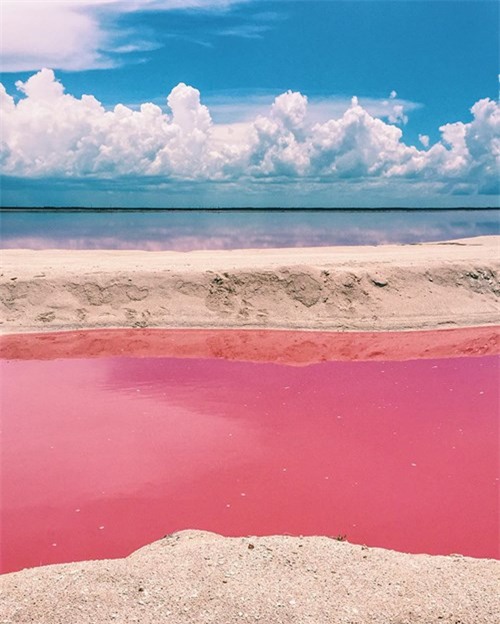 Vẻ đẹp siêu thực của hồ nước màu hồng ‘có một không hai’ ở Mexico - ảnh 2
