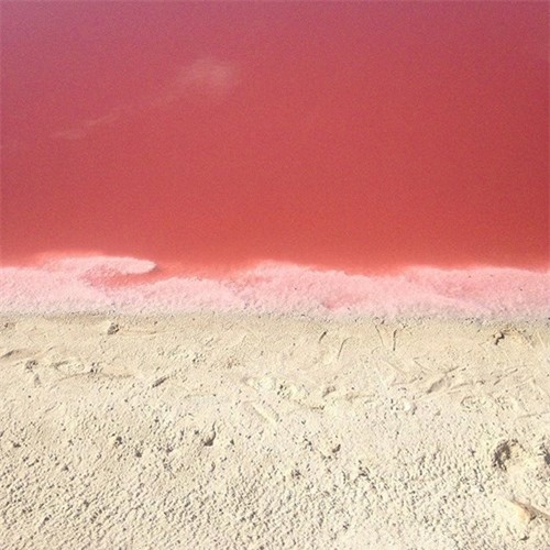 Vẻ đẹp siêu thực của hồ nước màu hồng ‘có một không hai’ ở Mexico - ảnh 4