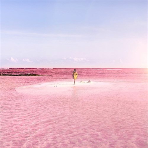 Vẻ đẹp siêu thực của hồ nước màu hồng ‘có một không hai’ ở Mexico - ảnh 5